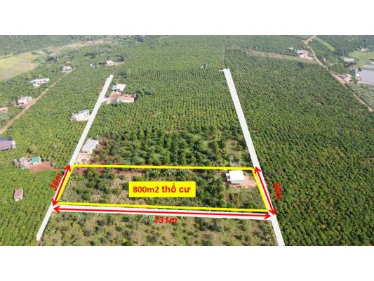 Bán đất trồng sẵn trái cây Lâm Đồng ,5000m2