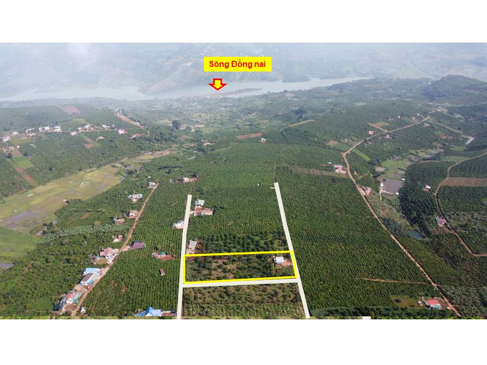 Bán đất trồng sẵn trái cây Lâm Đồng ,5000m2